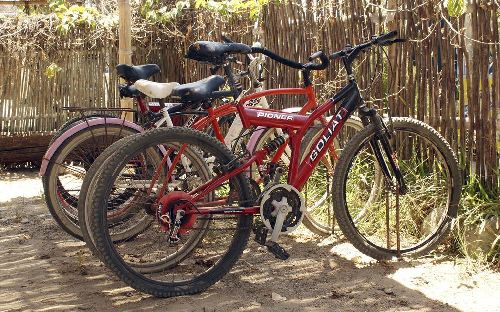 Psygon Surf Camp Hostel Mancora Bagian luar foto